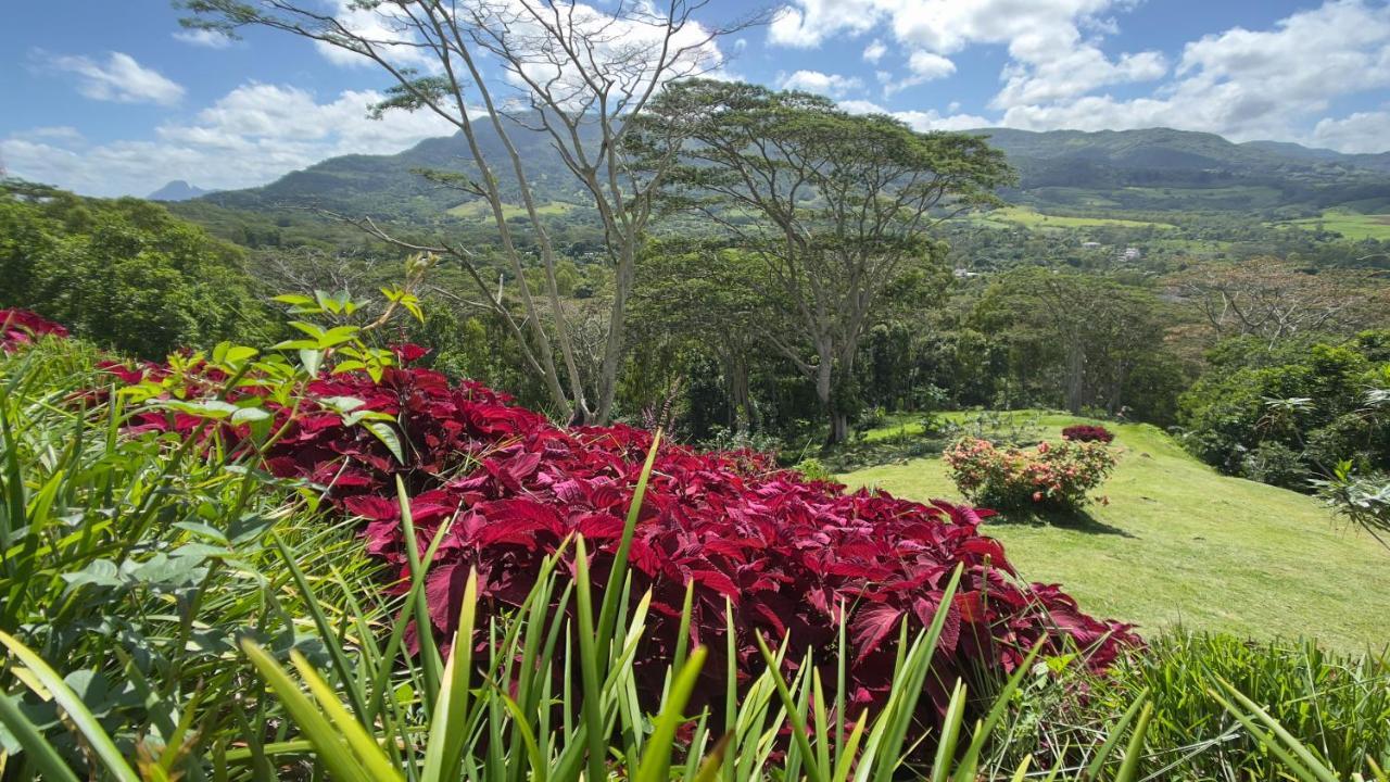 Green Cottage Chamarel Exteriér fotografie