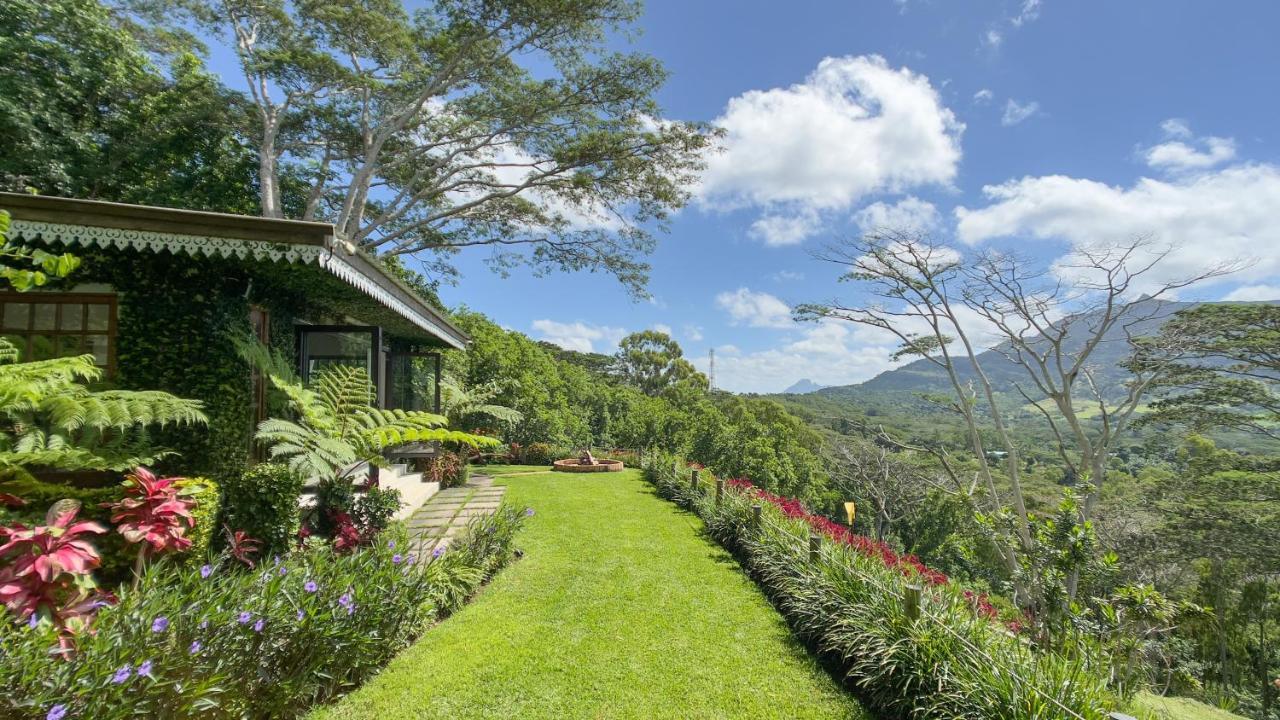 Green Cottage Chamarel Exteriér fotografie