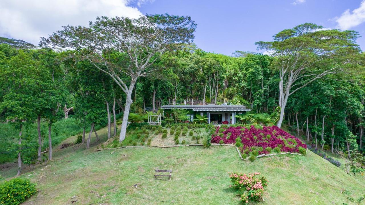 Green Cottage Chamarel Exteriér fotografie