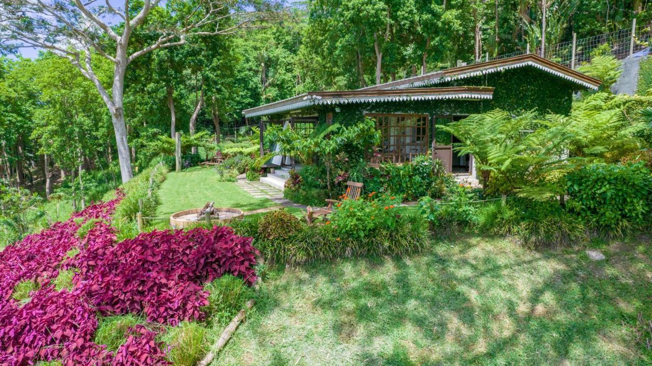 Green Cottage Chamarel Exteriér fotografie