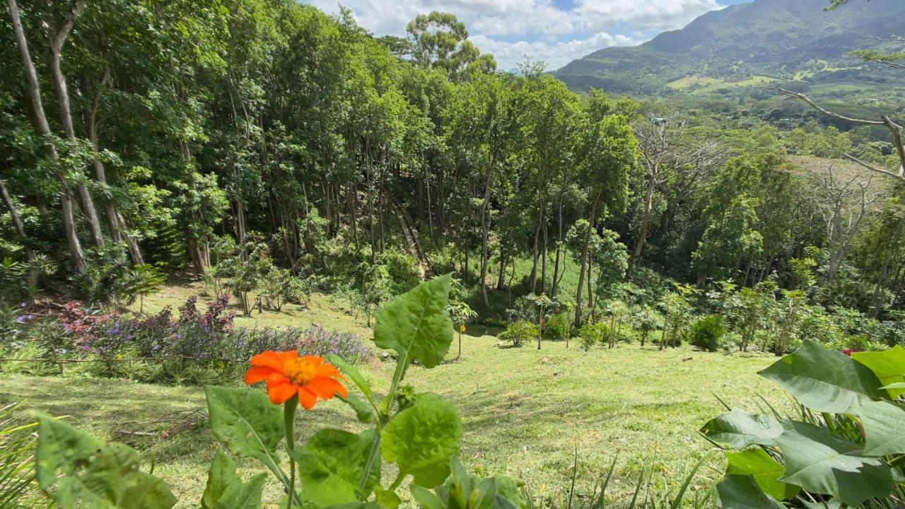 Green Cottage Chamarel Exteriér fotografie