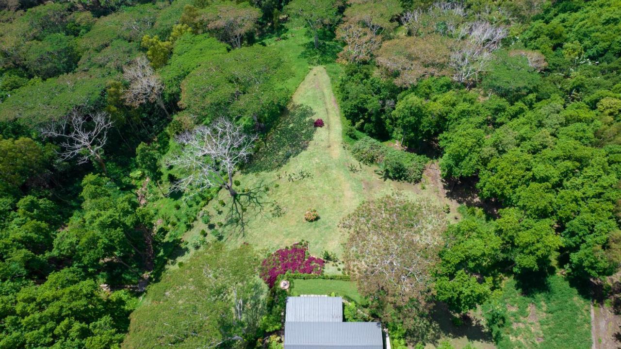 Green Cottage Chamarel Exteriér fotografie