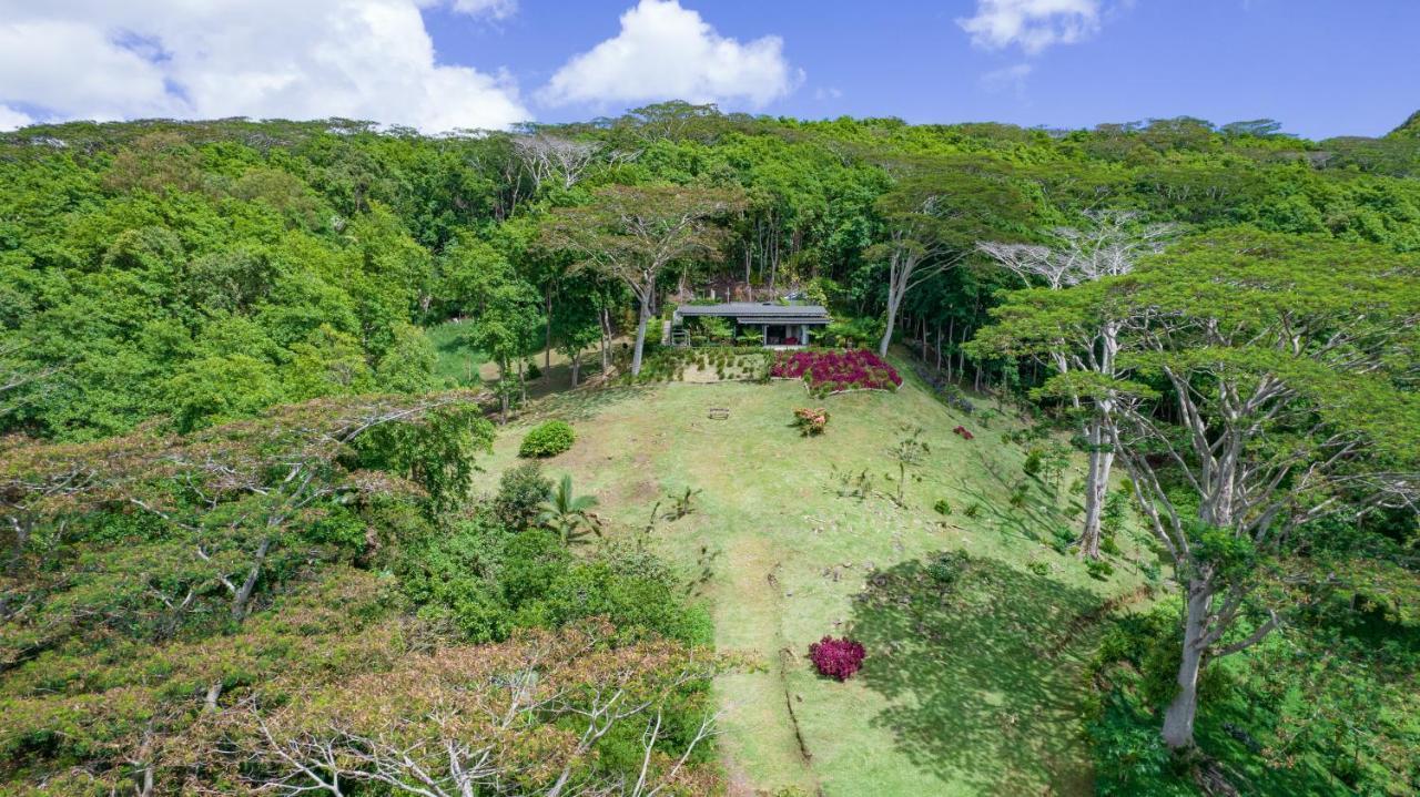 Green Cottage Chamarel Exteriér fotografie